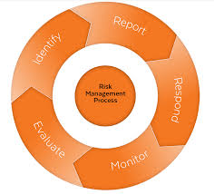 risk management