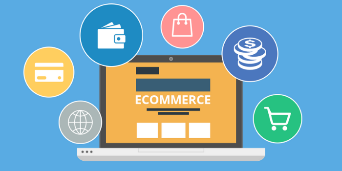 e commerce website